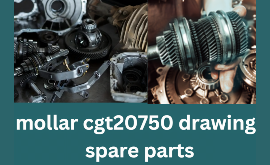 Mollar CGT 20750 Drawing Spare Parts